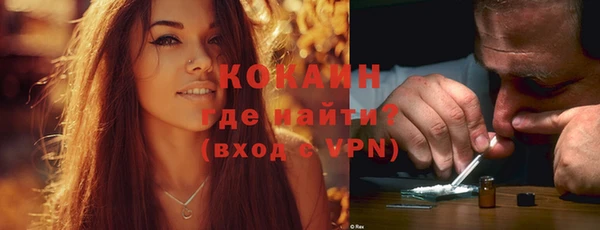крисы Няндома