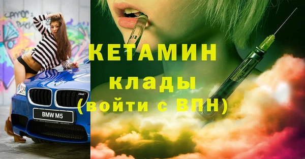 крисы Няндома