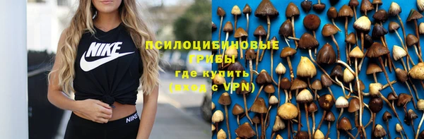 винт Новодвинск