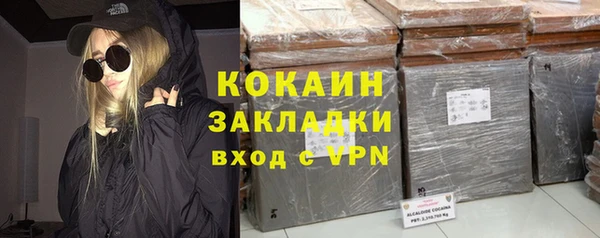 крисы Няндома